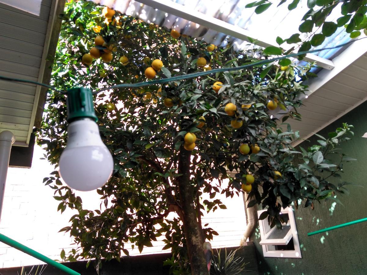 Hospedagem Da Laranjeira Γκραμάντο Εξωτερικό φωτογραφία